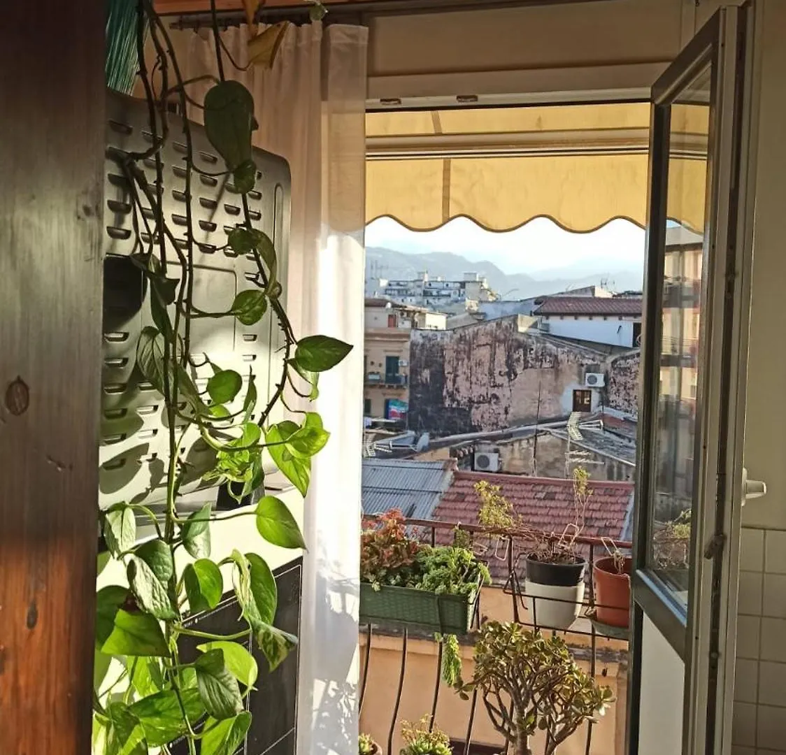 Domus Solis Palermo Apartment